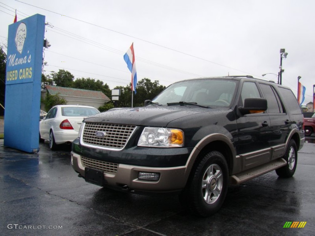 2003 Expedition Eddie Bauer 4x4 - Aspen Green Metallic / Medium Parchment photo #5