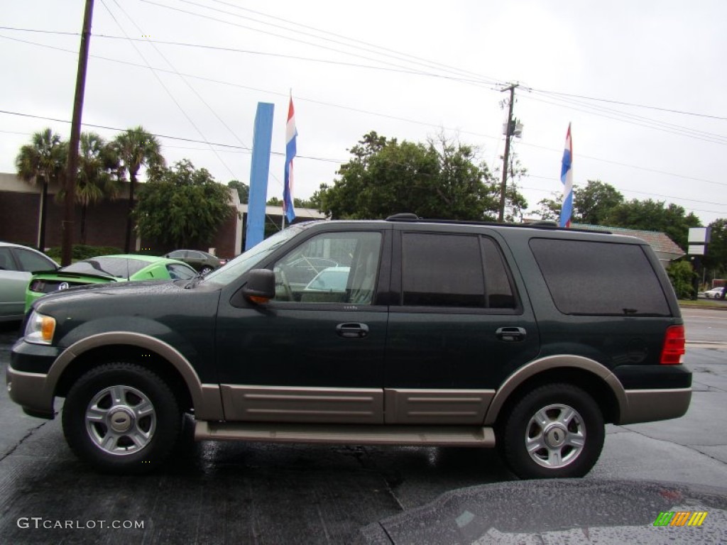 2003 Expedition Eddie Bauer 4x4 - Aspen Green Metallic / Medium Parchment photo #6