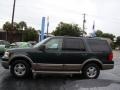 2003 Aspen Green Metallic Ford Expedition Eddie Bauer 4x4  photo #6