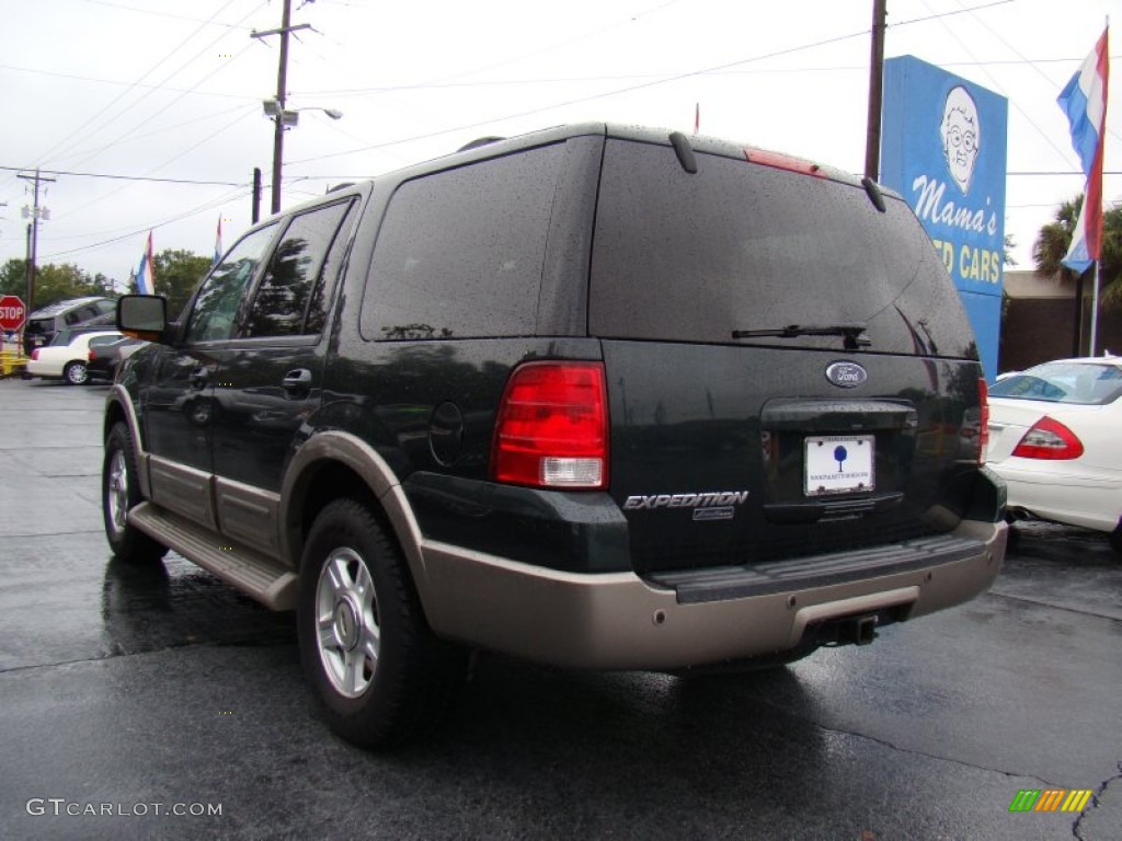 2003 Expedition Eddie Bauer 4x4 - Aspen Green Metallic / Medium Parchment photo #7