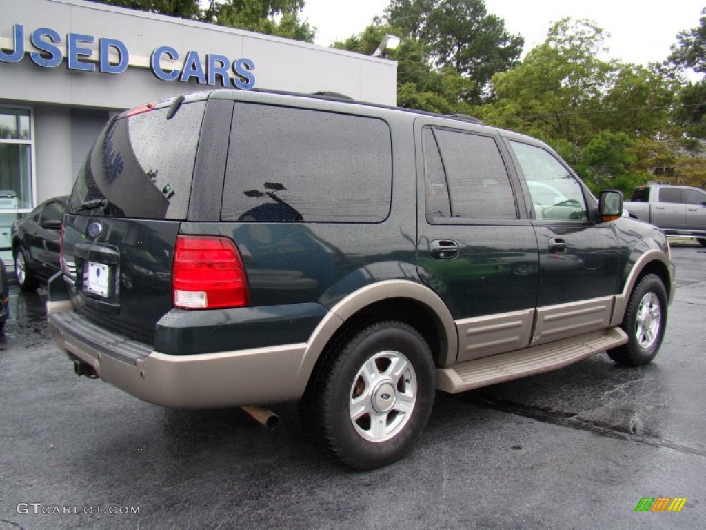 2003 Expedition Eddie Bauer 4x4 - Aspen Green Metallic / Medium Parchment photo #9