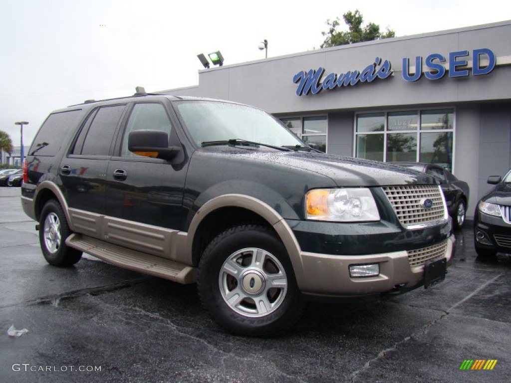 2003 Expedition Eddie Bauer 4x4 - Aspen Green Metallic / Medium Parchment photo #28