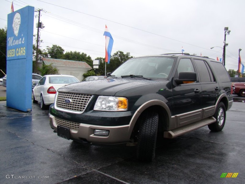 2003 Expedition Eddie Bauer 4x4 - Aspen Green Metallic / Medium Parchment photo #29