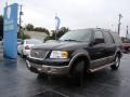 2003 Aspen Green Metallic Ford Expedition Eddie Bauer 4x4  photo #29