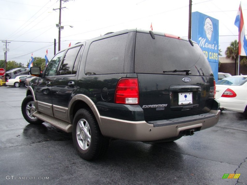 2003 Expedition Eddie Bauer 4x4 - Aspen Green Metallic / Medium Parchment photo #30
