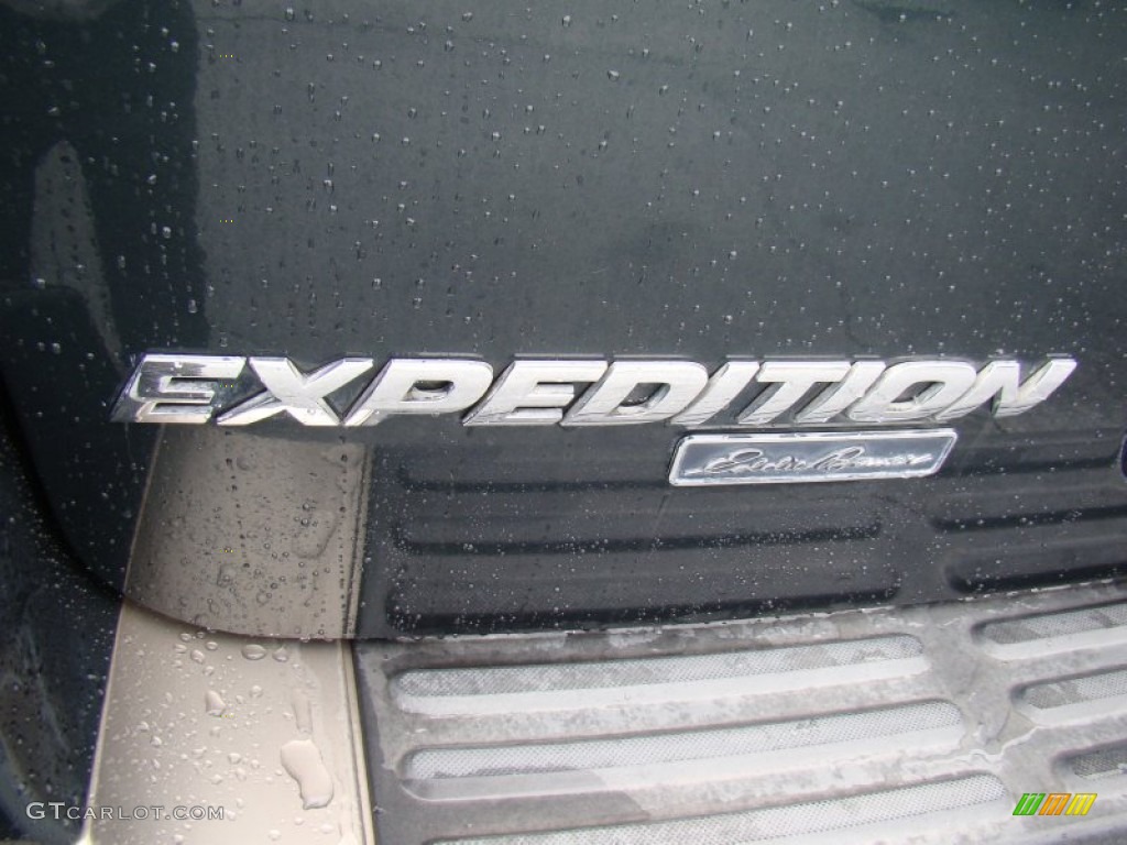 2003 Expedition Eddie Bauer 4x4 - Aspen Green Metallic / Medium Parchment photo #33