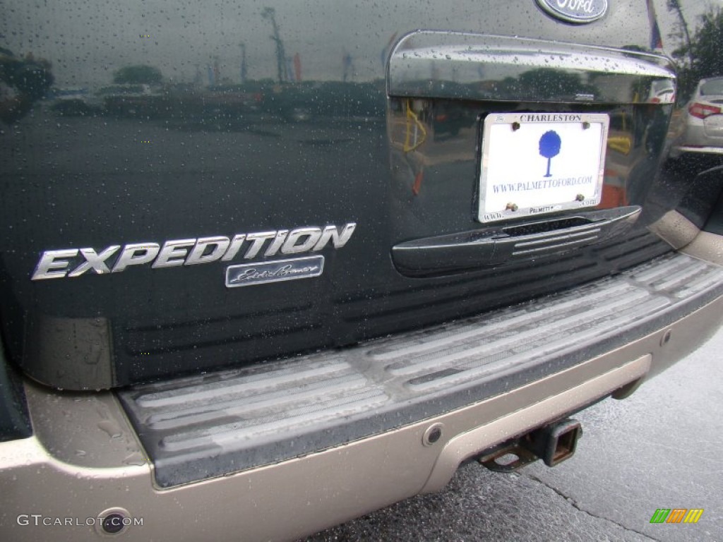 2003 Expedition Eddie Bauer 4x4 - Aspen Green Metallic / Medium Parchment photo #34