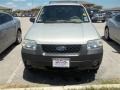 2005 Gold Ash Metallic Ford Escape XLT  photo #2