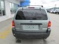 Titanium Green Metallic - Escape XLT V6 4WD Photo No. 9