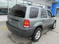 Titanium Green Metallic - Escape XLT V6 4WD Photo No. 10