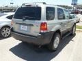 2005 Gold Ash Metallic Ford Escape XLT  photo #23