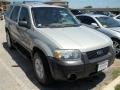 2005 Gold Ash Metallic Ford Escape XLT  photo #30