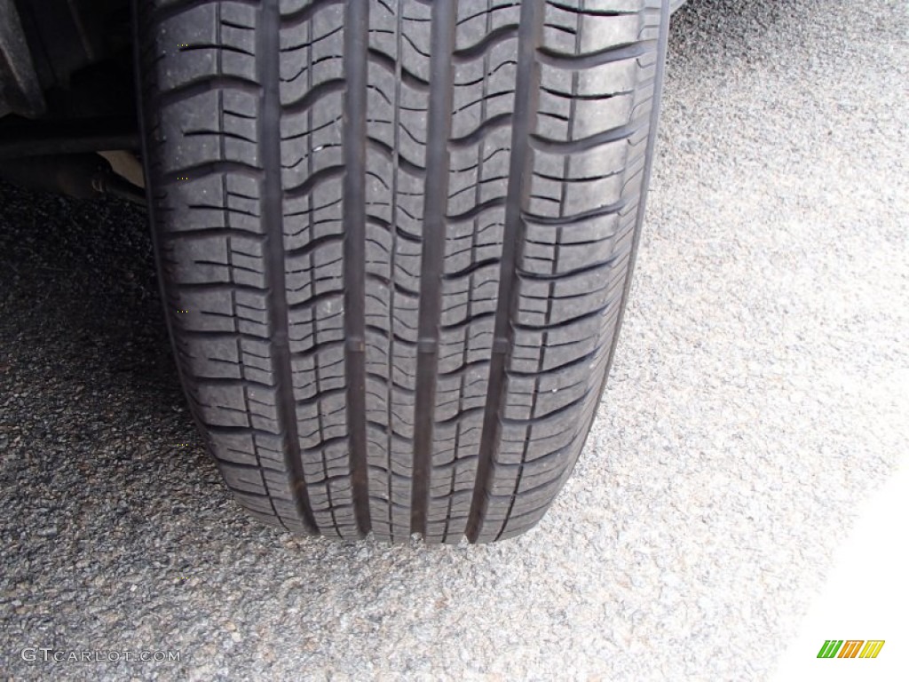 2006 Grand Marquis LS - Silver Birch Metallic / Charcoal Black photo #24