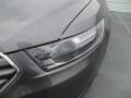 Sterling Gray - Taurus SEL Photo No. 13