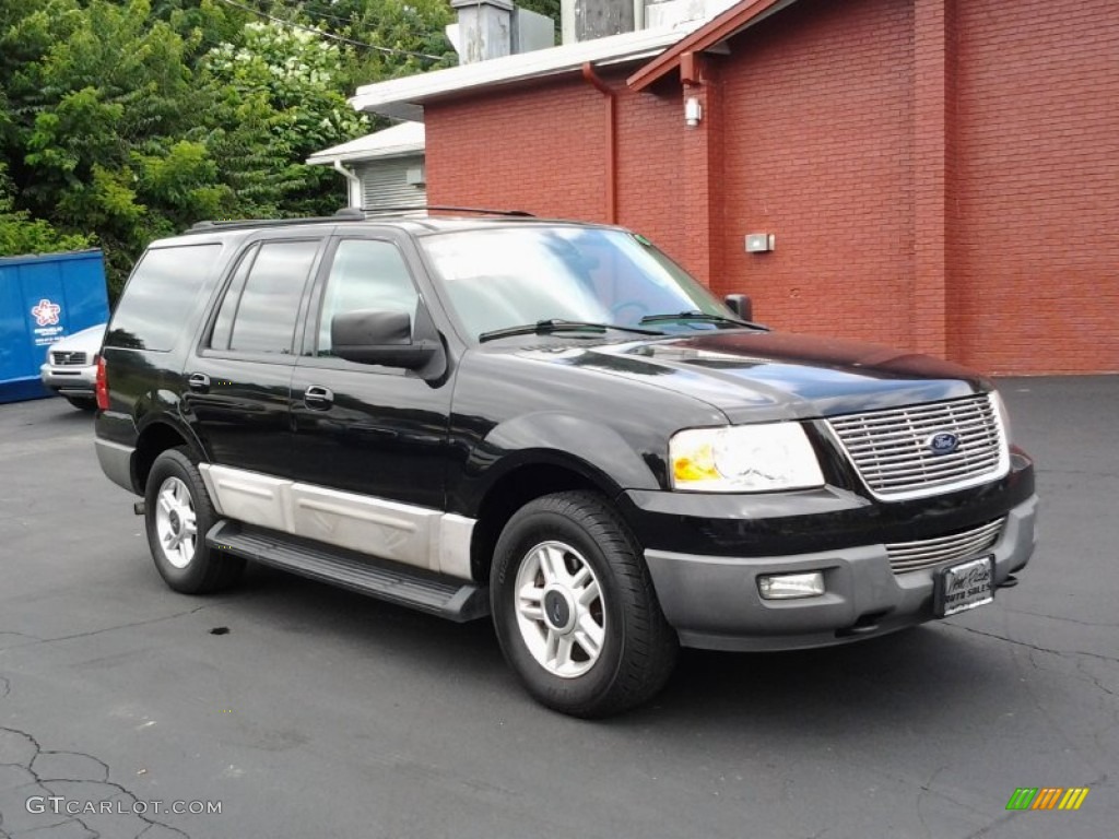 2003 Expedition XLT 4x4 - True Blue Metallic / Flint Grey photo #2