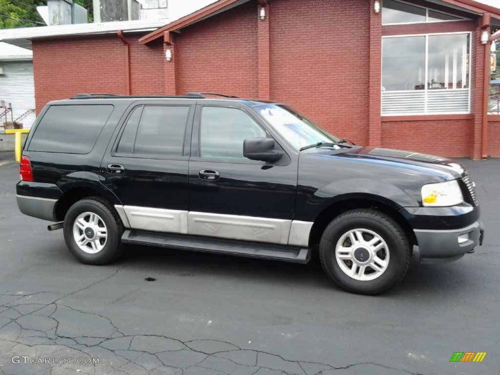 2003 Expedition XLT 4x4 - True Blue Metallic / Flint Grey photo #3