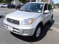 Titanium Metallic - RAV4 4WD Photo No. 1