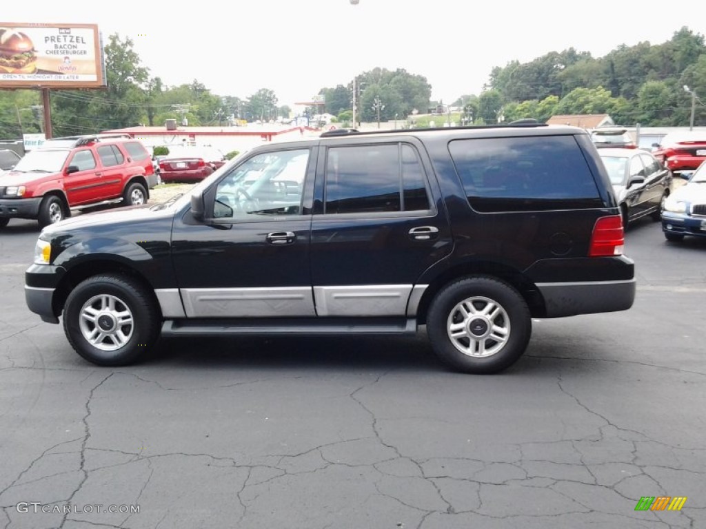 2003 Expedition XLT 4x4 - True Blue Metallic / Flint Grey photo #8