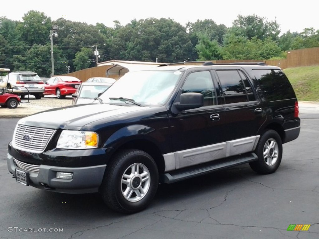 2003 Expedition XLT 4x4 - True Blue Metallic / Flint Grey photo #9