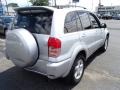 Titanium Metallic - RAV4 4WD Photo No. 7