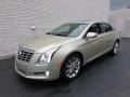 Silver Coast Metallic 2014 Cadillac XTS Luxury FWD Exterior