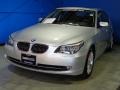 2010 Titanium Silver Metallic BMW 5 Series 528i xDrive Sedan  photo #3