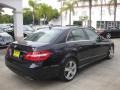 2010 Capri Blue Metallic Mercedes-Benz E 350 Sedan  photo #2