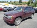 Bordeaux Red Metallic - TrailBlazer LS 4x4 Photo No. 3