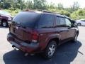 Bordeaux Red Metallic - TrailBlazer LS 4x4 Photo No. 6