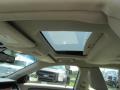 2010 White Suede Metallic Ford Taurus SEL  photo #13