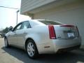 Light Platinum - CTS Sedan Photo No. 5