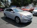 Iridescent Silver Blue Metallic - Sonata SE Photo No. 2