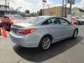 Iridescent Silver Blue Metallic - Sonata SE Photo No. 8