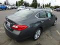 Storm Front Gray - M 37 Sedan Photo No. 6