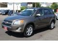 Pyrite Metallic - RAV4 Limited V6 4WD Photo No. 3