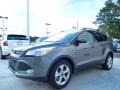 2014 Sterling Gray Ford Escape SE 1.6L EcoBoost  photo #1