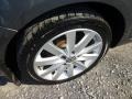 Platinum Gray Metallic - Jetta TDI SportWagen Photo No. 12