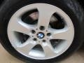 Titanium Silver Metallic - X3 3.0si Photo No. 12
