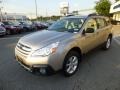 Tungsten Metallic - Outback 2.5i Premium Photo No. 3