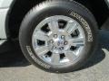 Ingot Silver Metallic - Expedition XLT Photo No. 4
