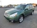 Cypress Green Pearl 2014 Subaru Outback 2.5i Premium Exterior