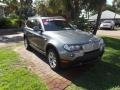 2010 Space Gray Metallic BMW X3 xDrive30i  photo #13