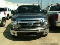 2013 Sterling Gray Metallic Ford F150 XLT SuperCab  photo #1