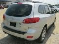 Bright Silver - Santa Fe GLS 4WD Photo No. 5