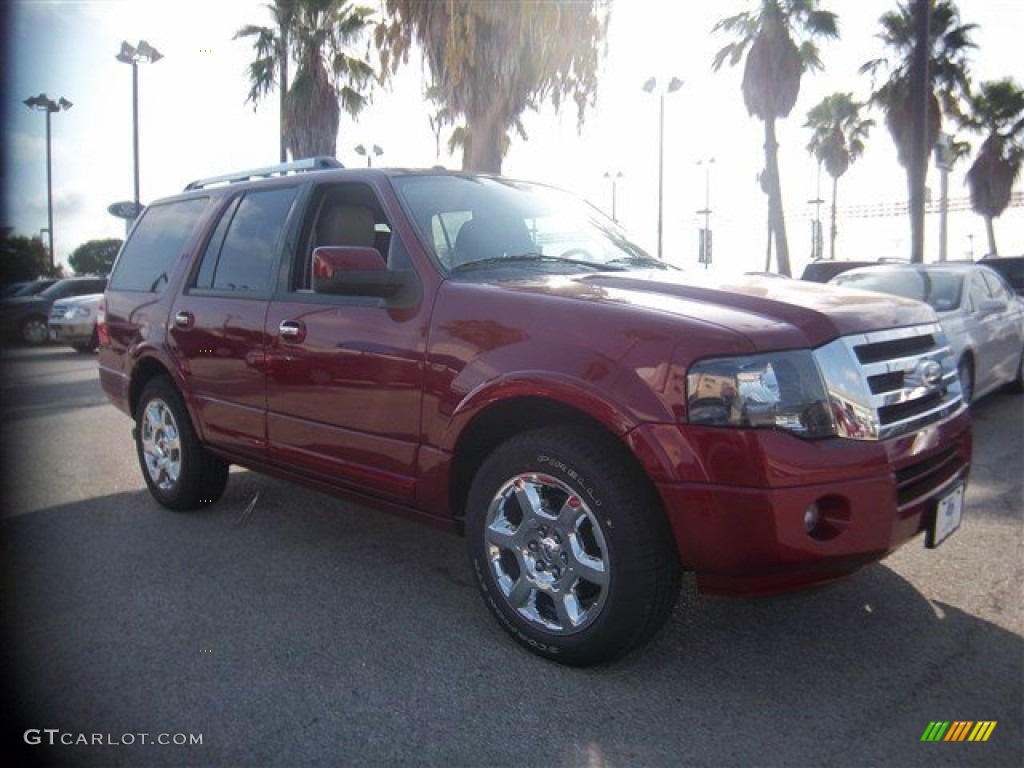 2013 Expedition Limited - Ruby Red / Stone photo #6