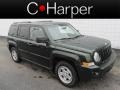 2010 Natural Green Pearl Jeep Patriot Sport 4x4  photo #1