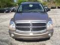 Light Khaki Metallic - Durango Limited 4x4 Photo No. 8