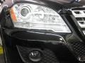 Black - ML 350 Photo No. 23