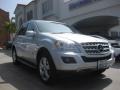 Iridium Silver Metallic - ML 350 Photo No. 1