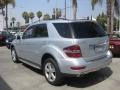 Iridium Silver Metallic - ML 350 Photo No. 4